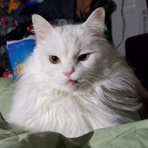 Meet your Posher, Danita